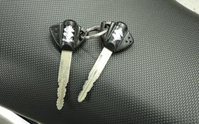 SUZUKI GSX250RA 2015