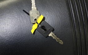 HARLEY XL1200XS 2018