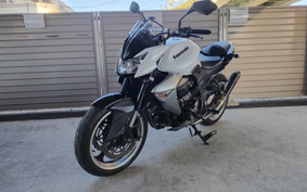 KAWASAKI Z1000 2009 ZRT00B