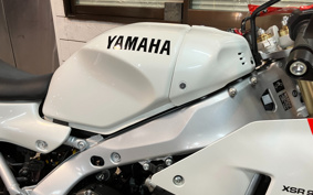 YAMAHA XSR900 GP 2024 RN96J