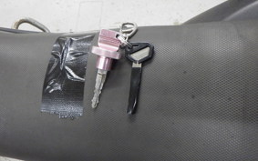 KAWASAKI KLX250D TRACKER X LX250V