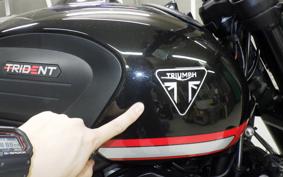TRIUMPH TRIDENT 660 2023