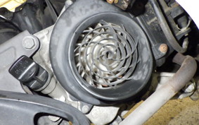 HONDA DIO 110 JF31