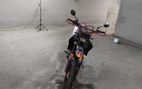 YAMAHA WR250X DG15J