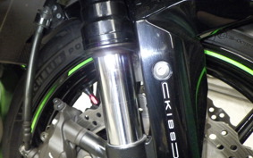 KAWASAKI NINJA ZX-6R A 2020 ZX636G