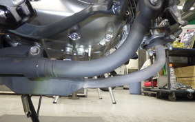 HONDA MONKEY 125 ABS