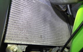 KAWASAKI NINJA 250R 2010 EX250K