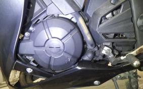 KAWASAKI Z250 2023 ER250C