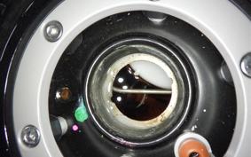 TRIUMPH TRIDENT 660 2025