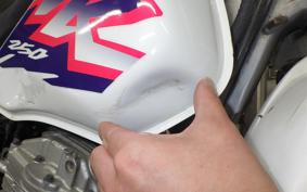 HONDA XR250 1998 MD30