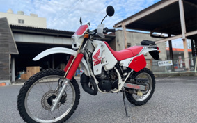 HONDA CRM250R MD24