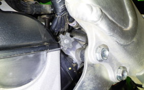 KAWASAKI KX250 2025 KX252C