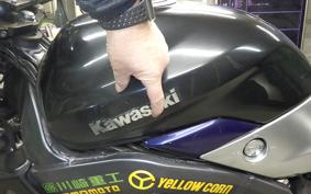 KAWASAKI XANTHUS 1994 ZR400D