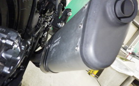 KTM 390 ADVENTURE 2021