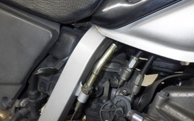 HONDA XR250 MOTARD 2025 MD30