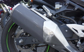 KAWASAKI NINJA 250 EX250P