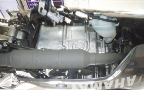 YAMAHA YZF-R15 2009 RG86J
