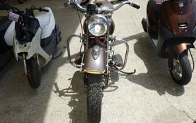 INDIAN 500 1966