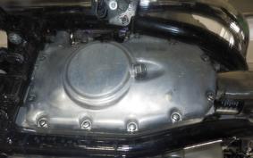 KAWASAKI W800 2024 EJ800E