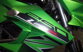 KAWASAKI Z250 SL BR250E