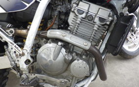 SUZUKI DJEBEL 250 XC SJ45A