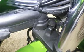 KAWASAKI ZRX1200 D 2017 ZRT20D