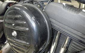 HARLEY XL1200NS 2019