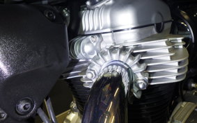 KAWASAKI W800 2021 EJ800E