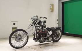OTHER UNREGISTERED MODEL by BDS1340 2007