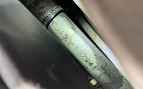 SUZUKI SKYWAVE 250S-1 CJ46A