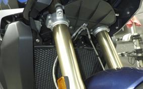 BMW S1000XR 2024