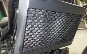 HONDA REBEL 250 A 2010 MC49
