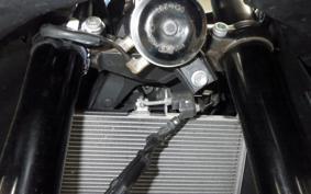 YAMAHA YZF-R3 2021 RH13J