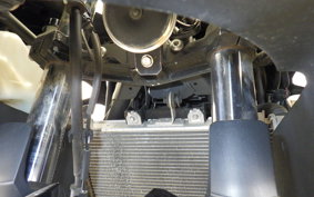 KAWASAKI NINJA 250 EX250P