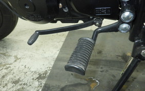 OTHER +ﾏｯﾄﾓｰﾀｰｻｲｸﾙ250 2008