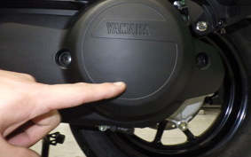 YAMAHA CYGNUSｸﾞﾘﾌｧｽ 2013 SEJ4J