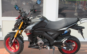 KAWASAKI Z125 PRO BR125H