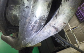 KAWASAKI ZRX-2 2002 ZR400E