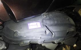 YAMAHA MAXAM 250 Trike SG21J