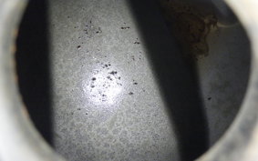 KAWASAKI ZZ-R250 2024 EX250H