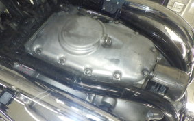 KAWASAKI W800 2025