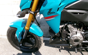 KAWASAKI Z125 PRO BR125H