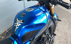 YAMAHA XSR900 2024 RN80J