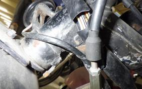 HONDA MONKEY 2013 Z50J