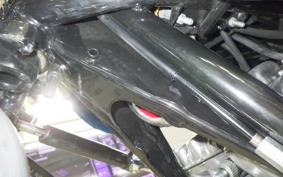 KAWASAKI Z1000 2026 Z1F