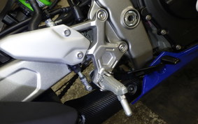 KAWASAKI ZX-4RR 2024