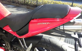 OTHER +ﾒｶﾞﾘ250R