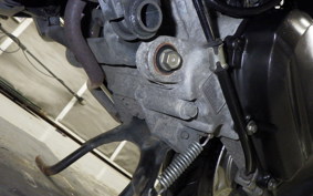 HONDA TACT Basket 2020 AF79