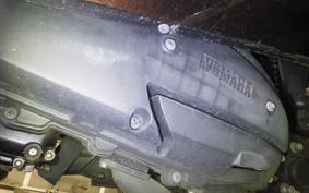 YAMAHA MAXAM 250 Trike 2002 SG21J