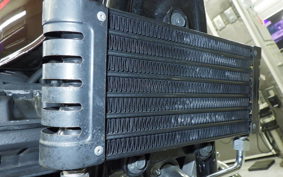 KAWASAKI ZEPHYR 400 KAI 2010